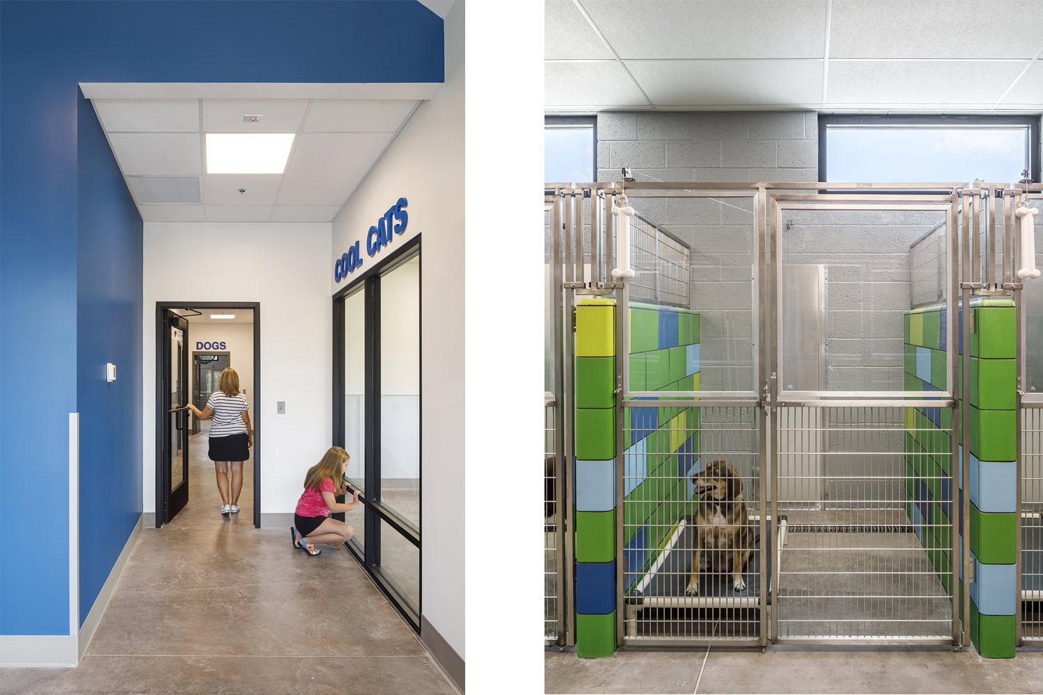 杰克逊县动物收容所丨Silling Architects-20