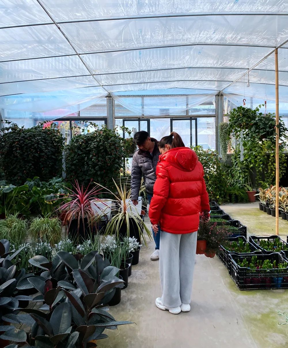 暖阳下的庭院新色丨草月流景观-49