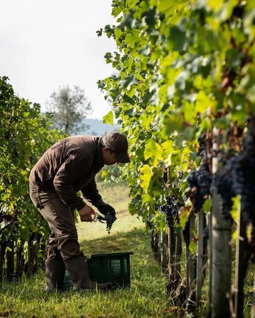 意大利千年古堡改造成奢华酒店,领略中世纪魅力-165