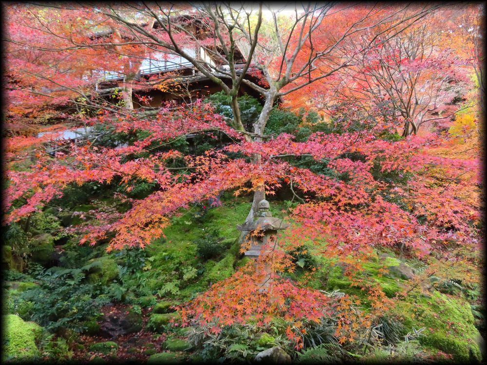 瑠璃光院（旧高级旅馆「喜鶴亭」）丨日本京都-42