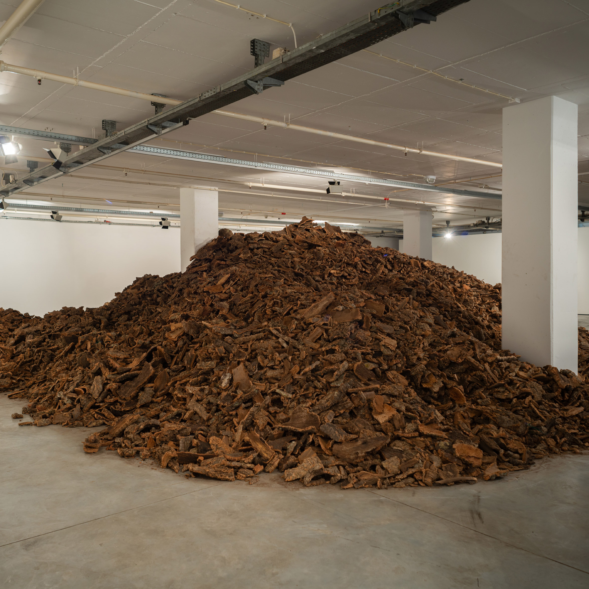 里斯本建筑三年展探讨可持续设计-16