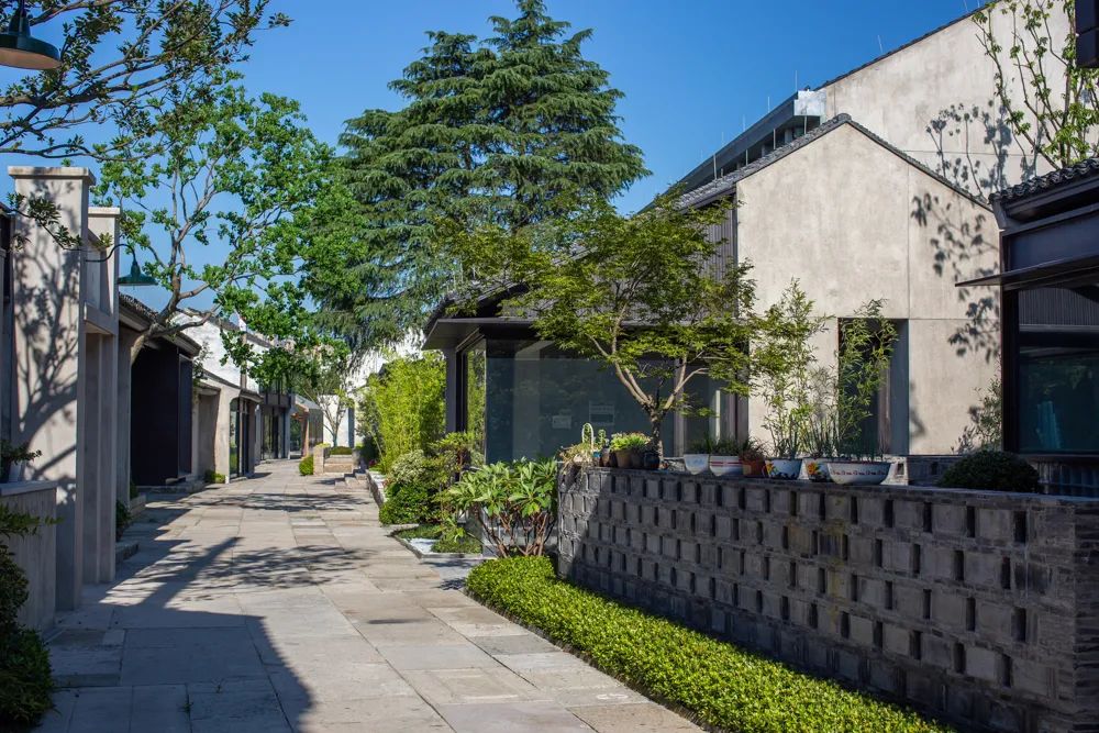 蓝城·运河江南里丨中国浙江丨浙江蓝颂园林景观设计集团有限公司-36