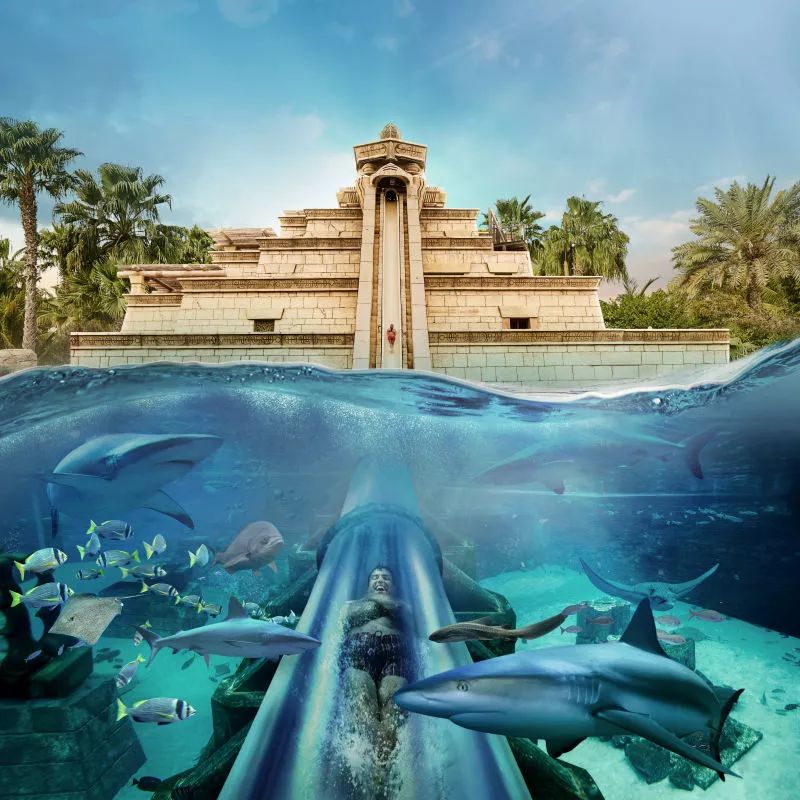 三亚•亚特兰蒂斯 | 一站式度假目的地-11