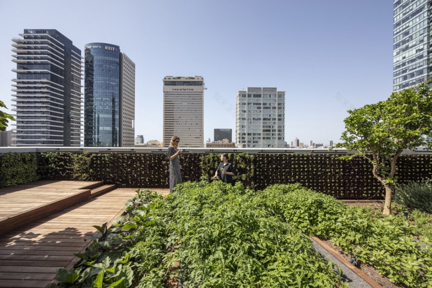 特拉维夫国家创业中心以色列烹饪学院,多功能蓝色空间融合烹饪文化-31