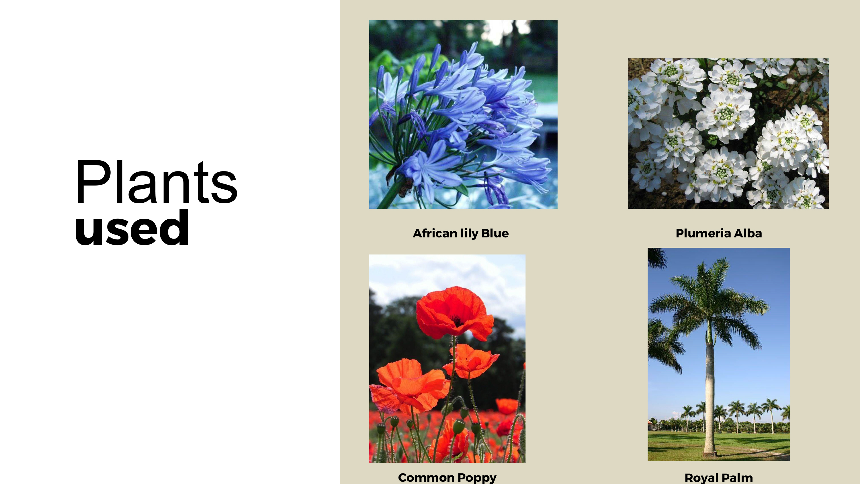 别墅后院设计-6