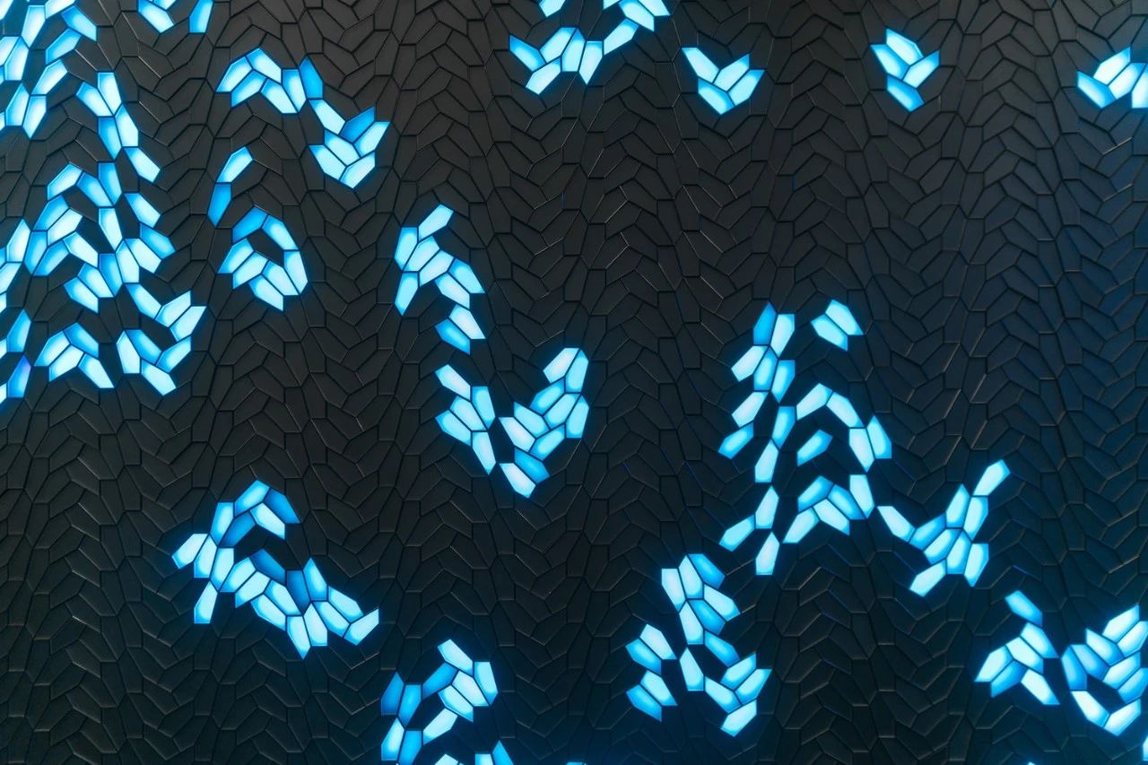 数字化艺术装置 | 自然与科技的奇幻碰撞-48