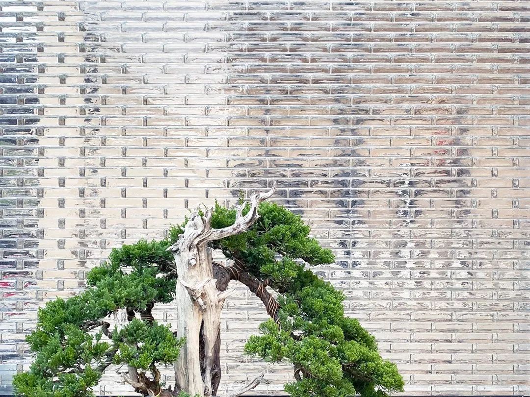 义乌张宅丨中国浙江丨Wutopia Lab-82