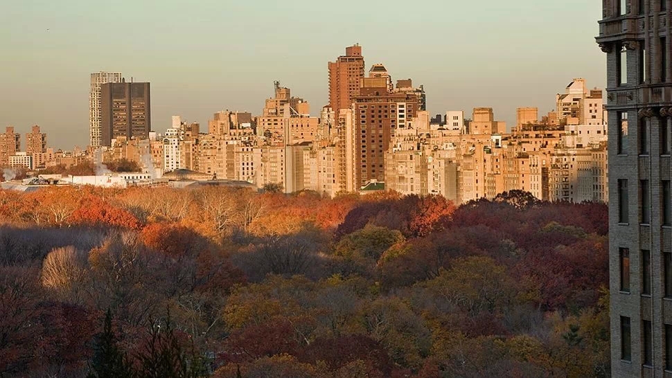 美国纽约的奎恩酒店-16