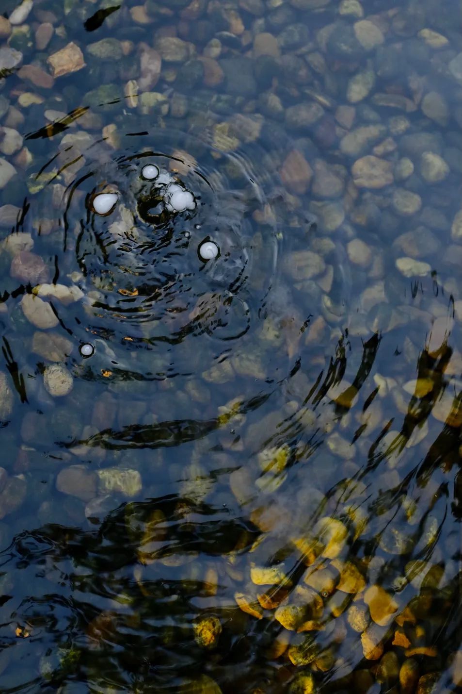 萧氏设计办公楼丨中国上海-36