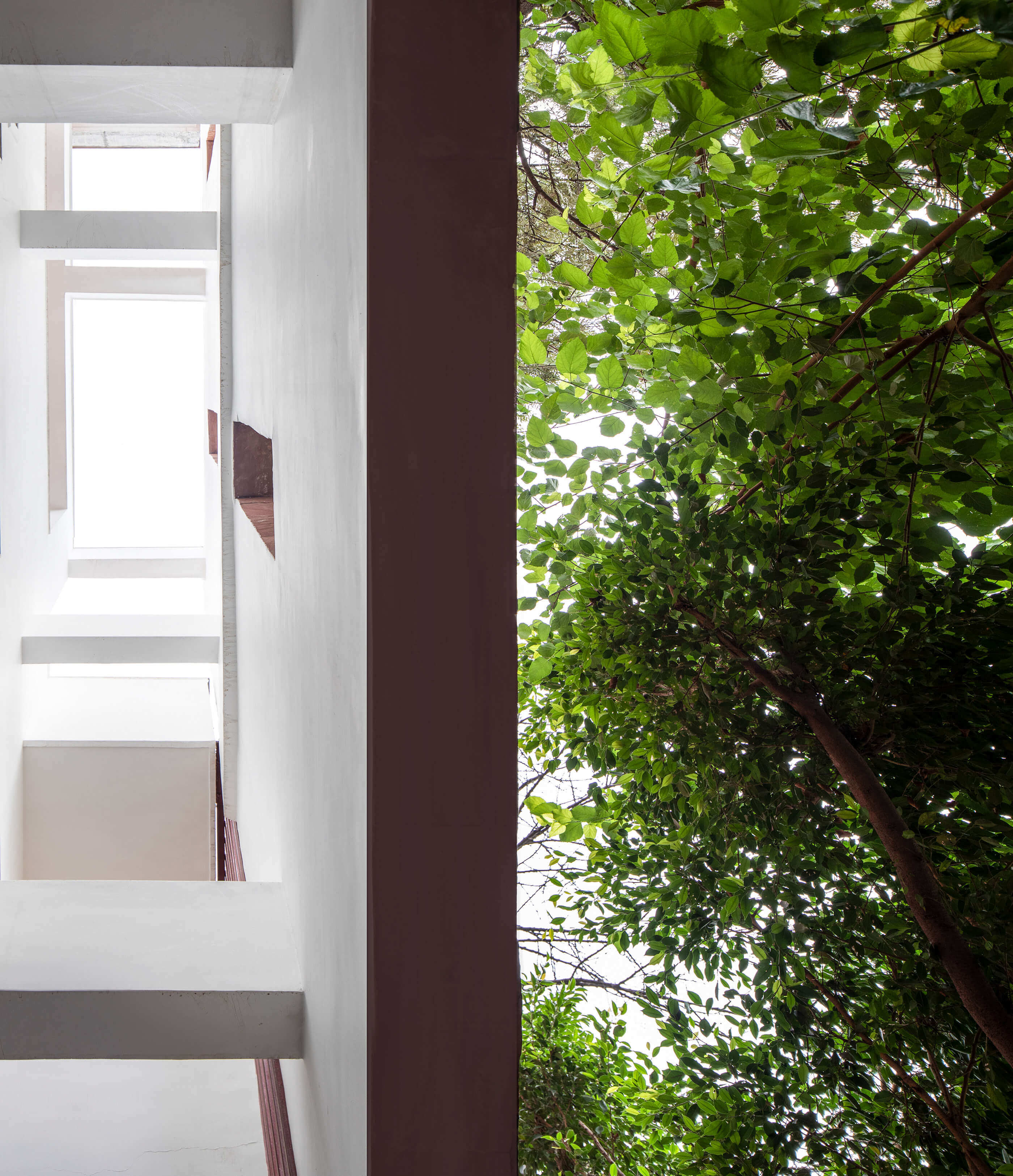 House With 49 Trees RENESA-34