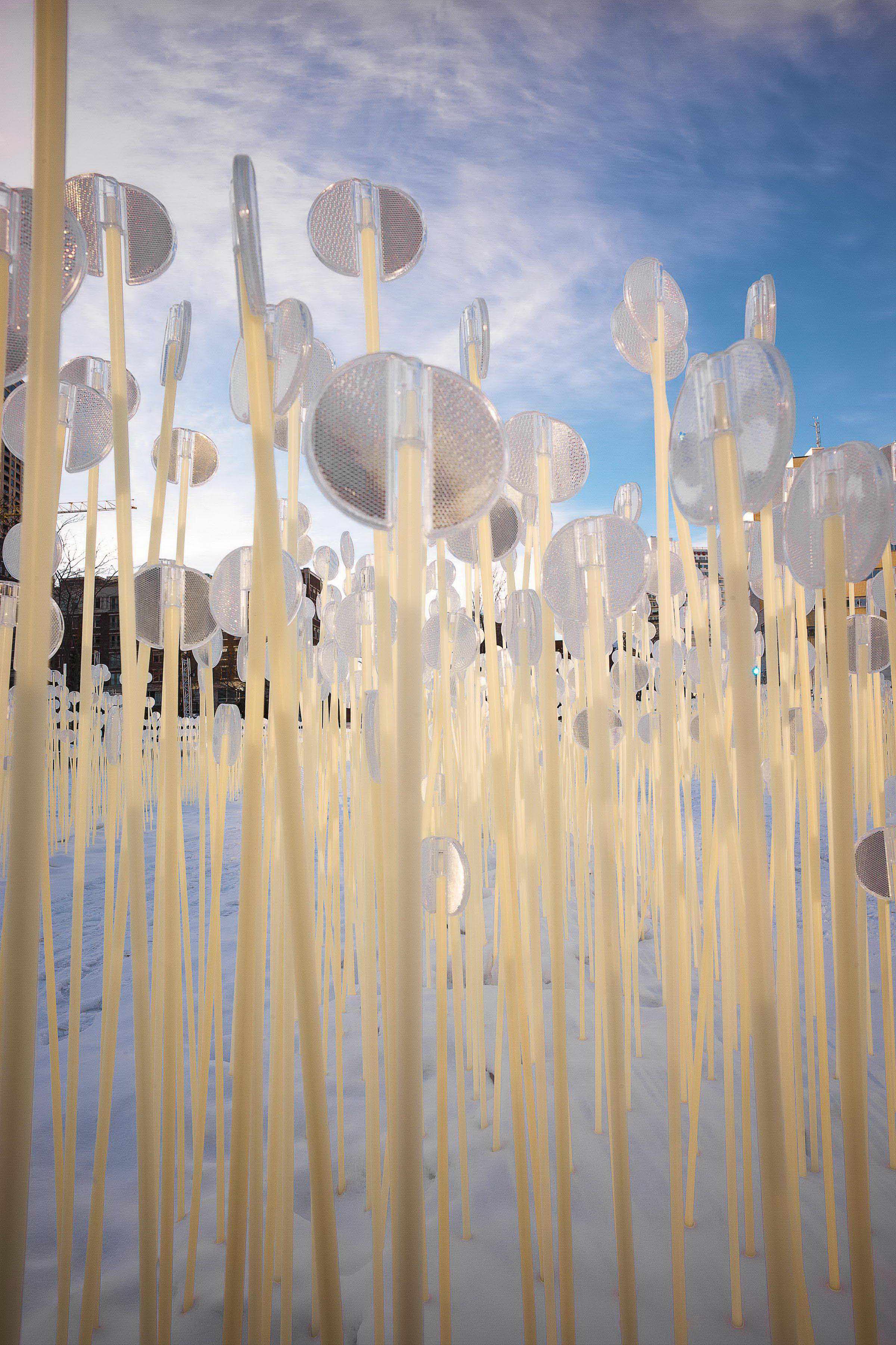 冬季麦田幻境 | Entre les Rangs 公共艺术装置-15