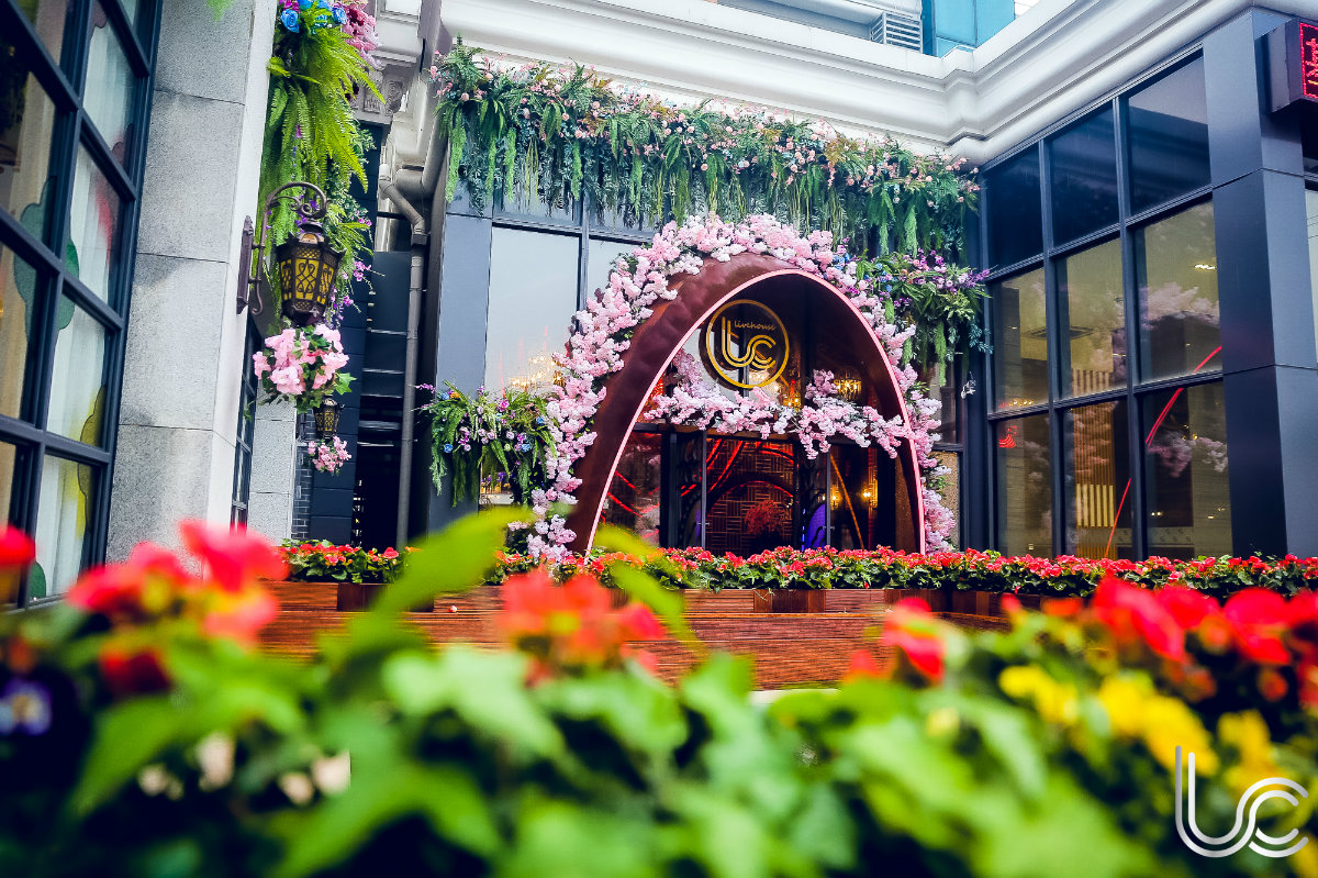 上海 LC LIVE HOUSE 酒吧——师晓峰打造音乐绿洲-11