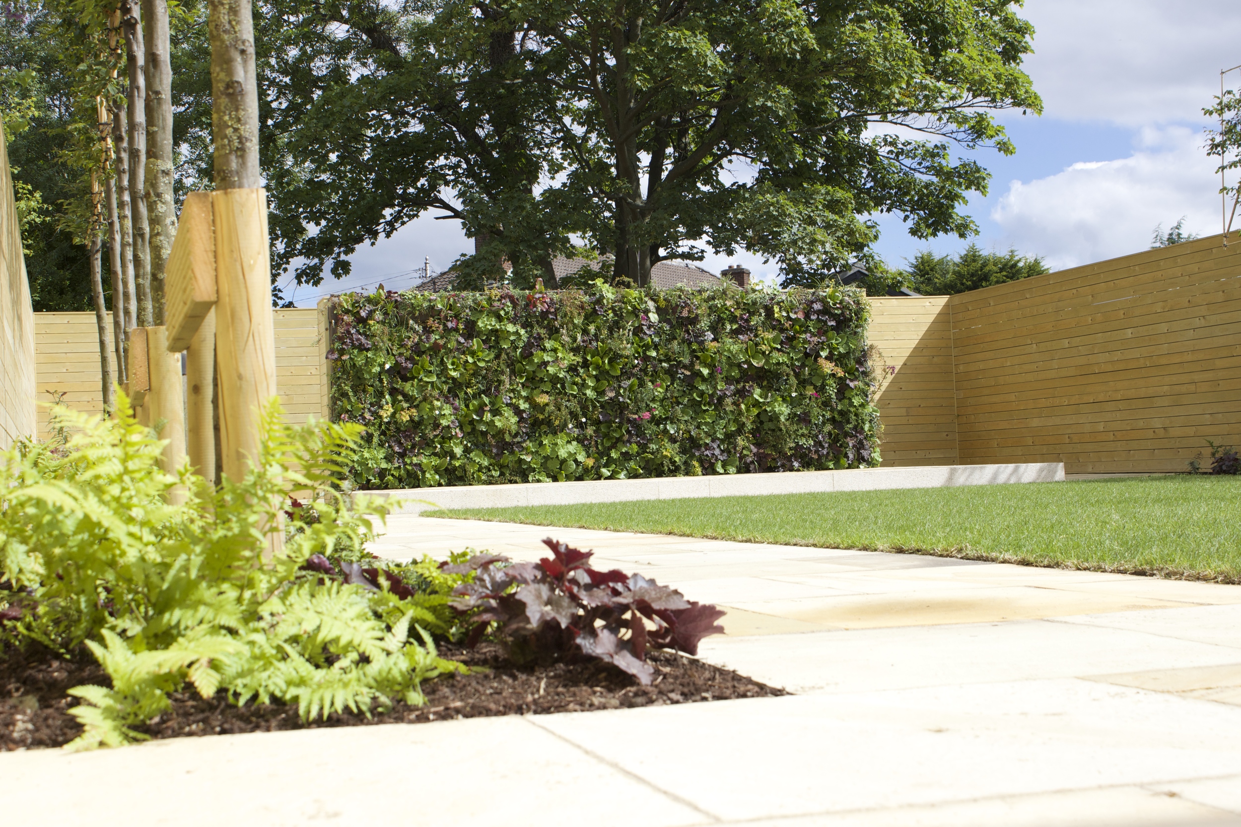 垂直绿墙花园丨爱尔兰都柏林-0