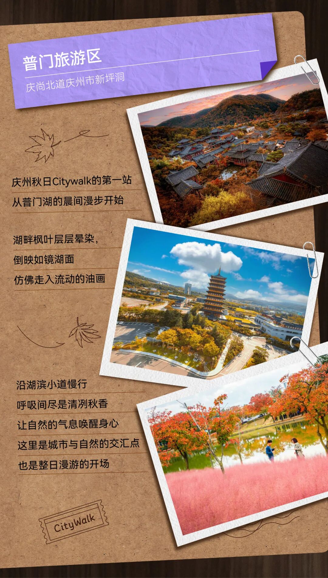 庆州秋日Citywalk地图~用一天时间，收集古都的浪漫碎片-1