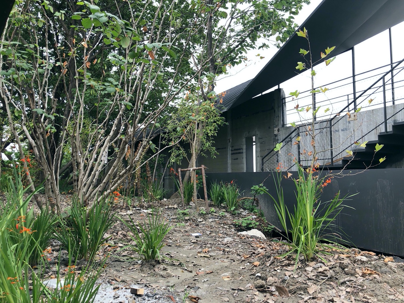 Edge Garden 景观设计丨中国上海丨YIYU-31