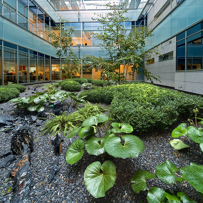 Madrid 办公大楼庭院花园 · 有机自然主义的设计实践-4