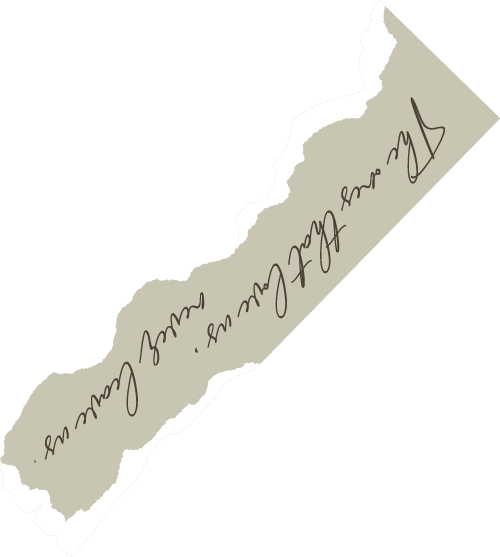 共写自然新故事｜番禺绿地参与式规划开放日暨自然体验活动报名啦-21