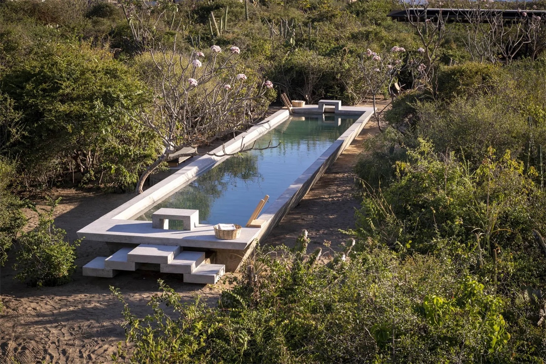 卡萨诺萨福尔扎丨墨西哥瓦哈卡丨Taco-99