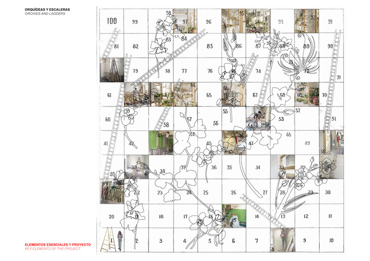 Orchids and Ladders  SERRANO+BAQUERO Arquitectos-15