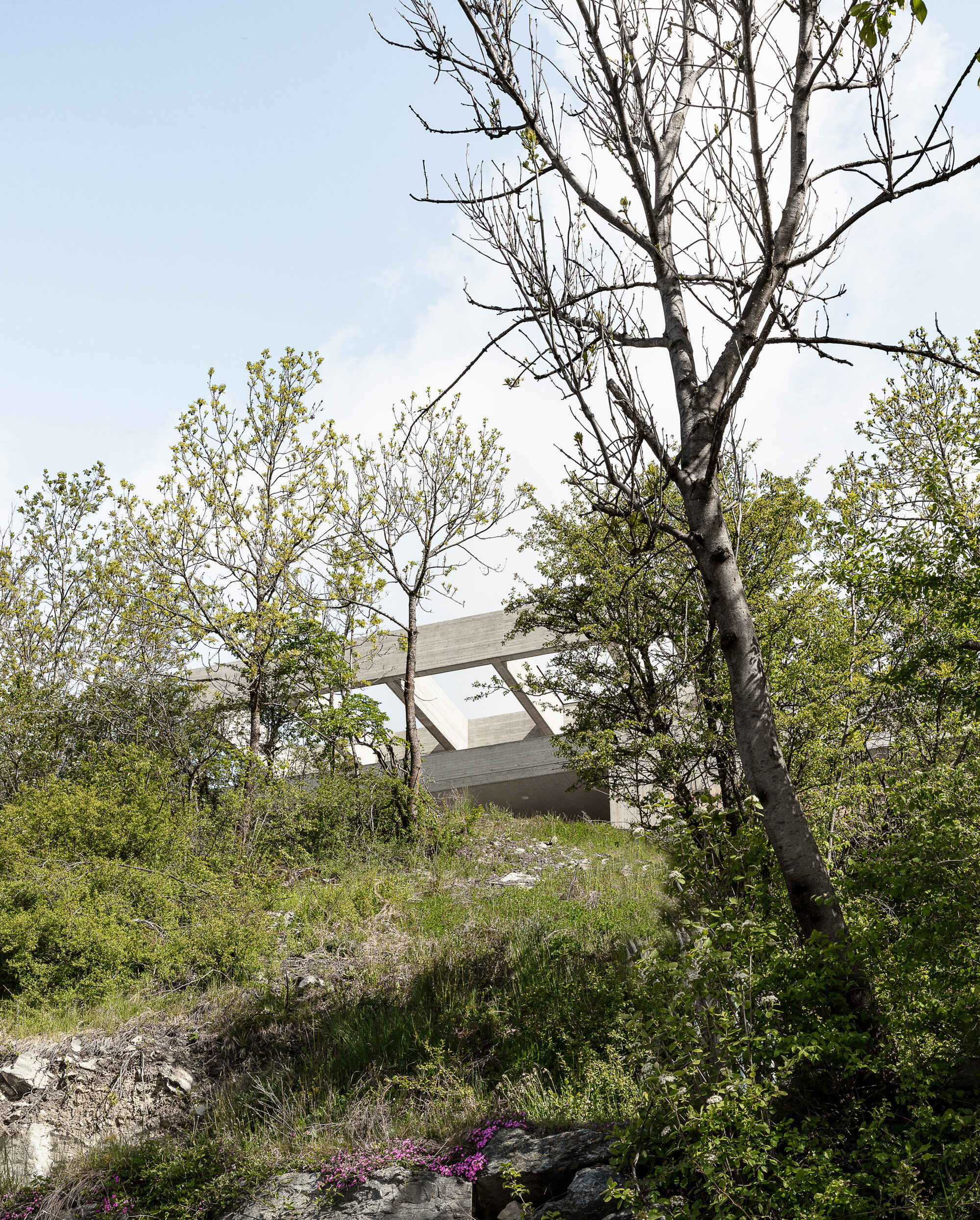 FSF 体育休闲中心丨奥地利丨AllesWirdGut Architektur-13