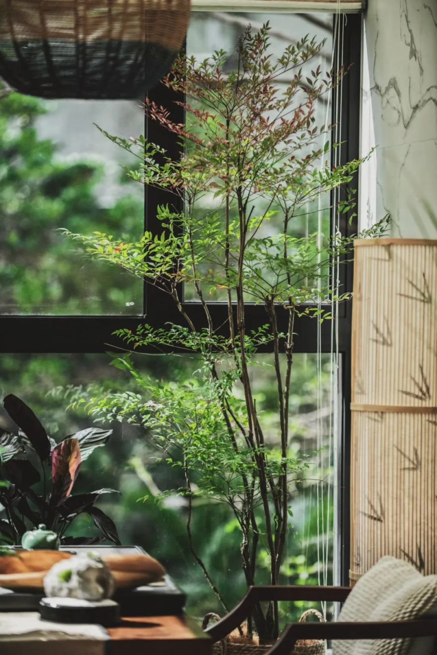 深圳华侨城香山里 200㎡私宅 | 寻回生活初心,体验自然雅致-6