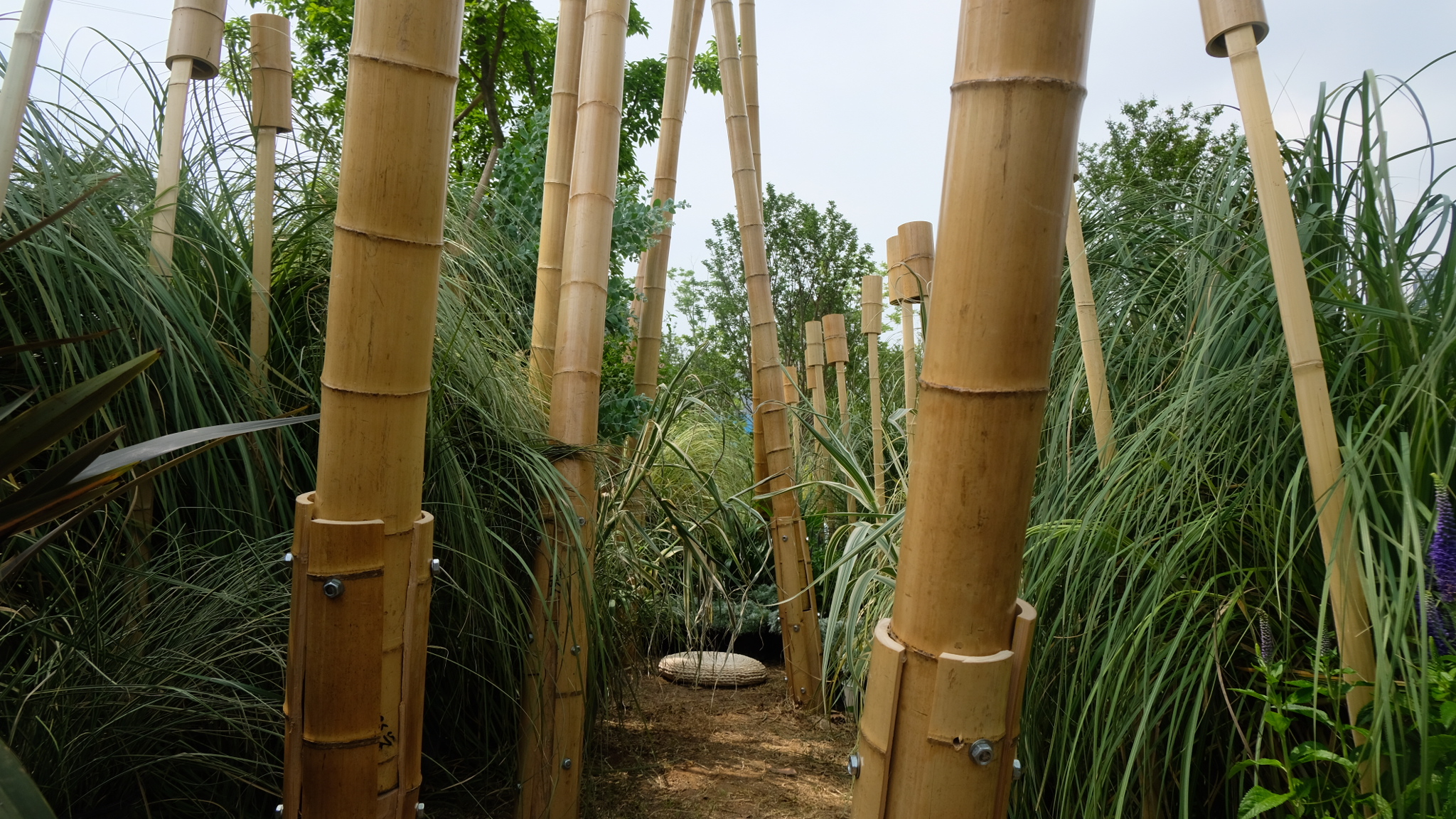 竹林丨中国成都丨Atelier Folie（北林风景建筑研究中心）-20
