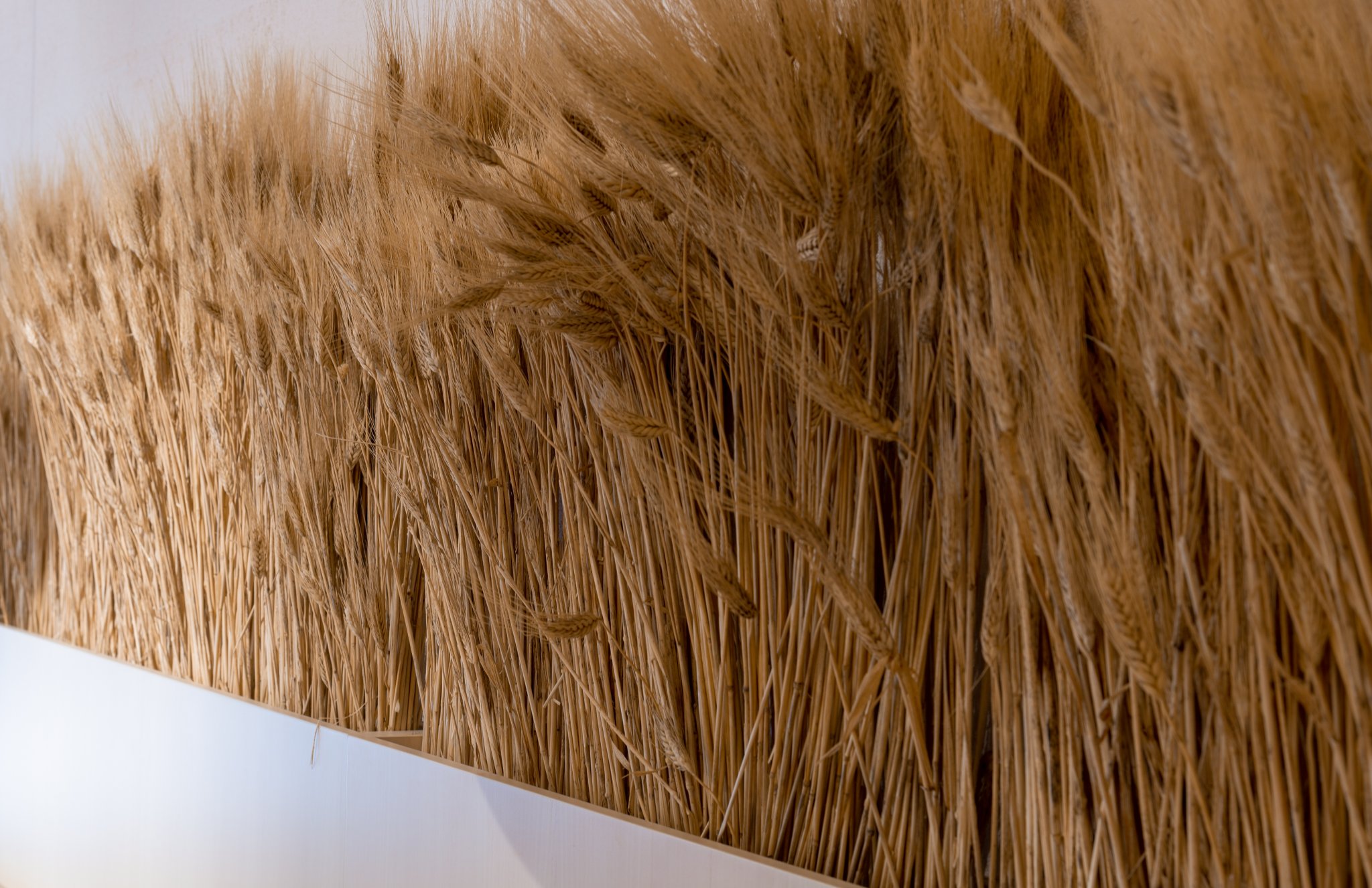 阳光披萨餐厅丨Yiannis Pouspourikas 设计工作室-6