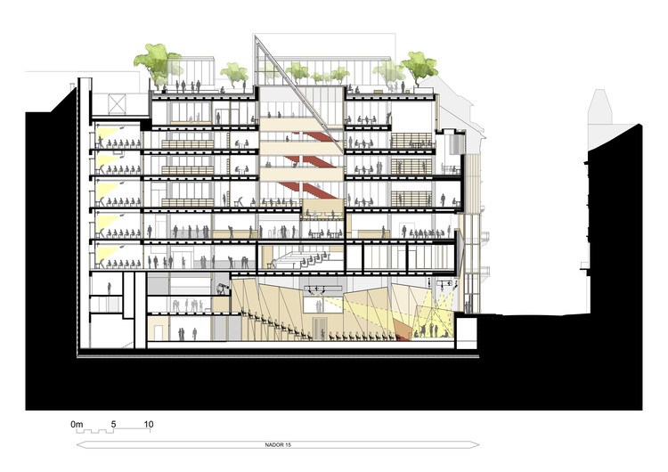Central European University  O’Donnell + Tuomey-37