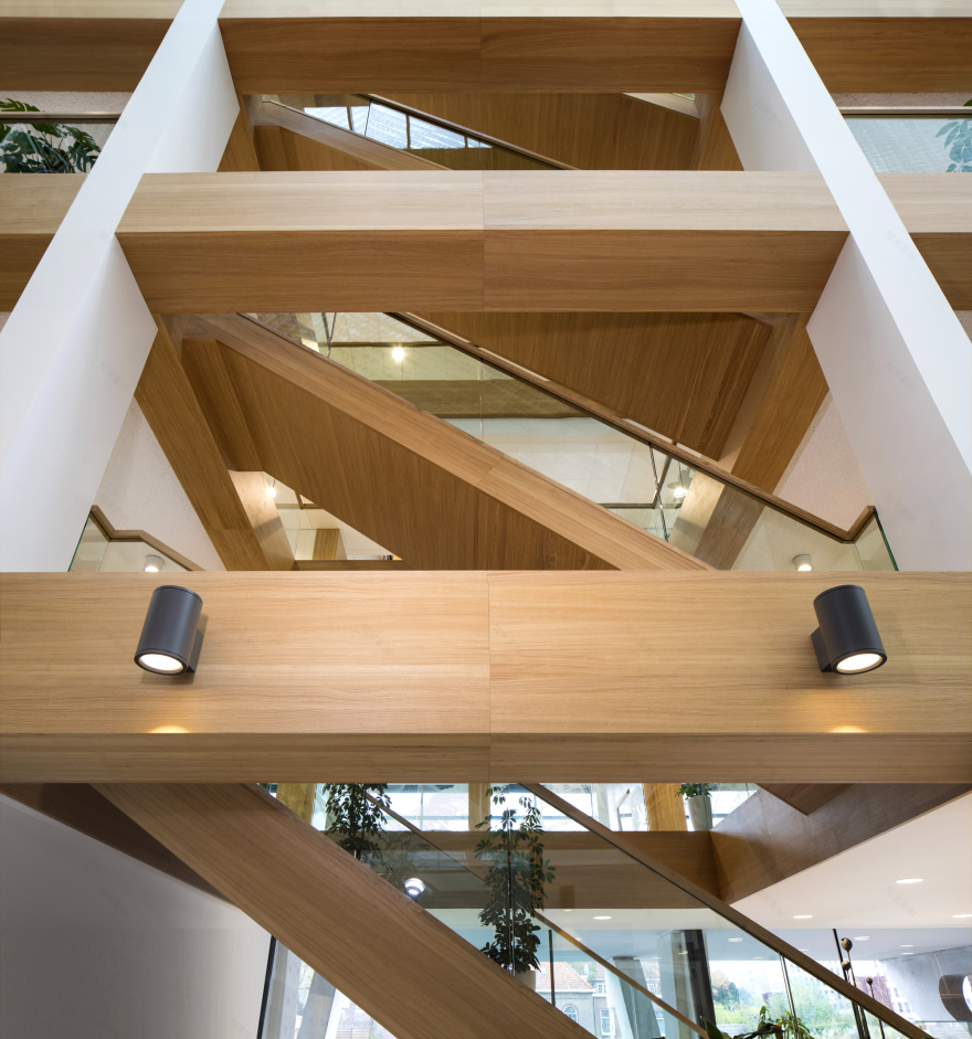 Naturalis Biodiversity Center / Hollandse Nieuwe-29