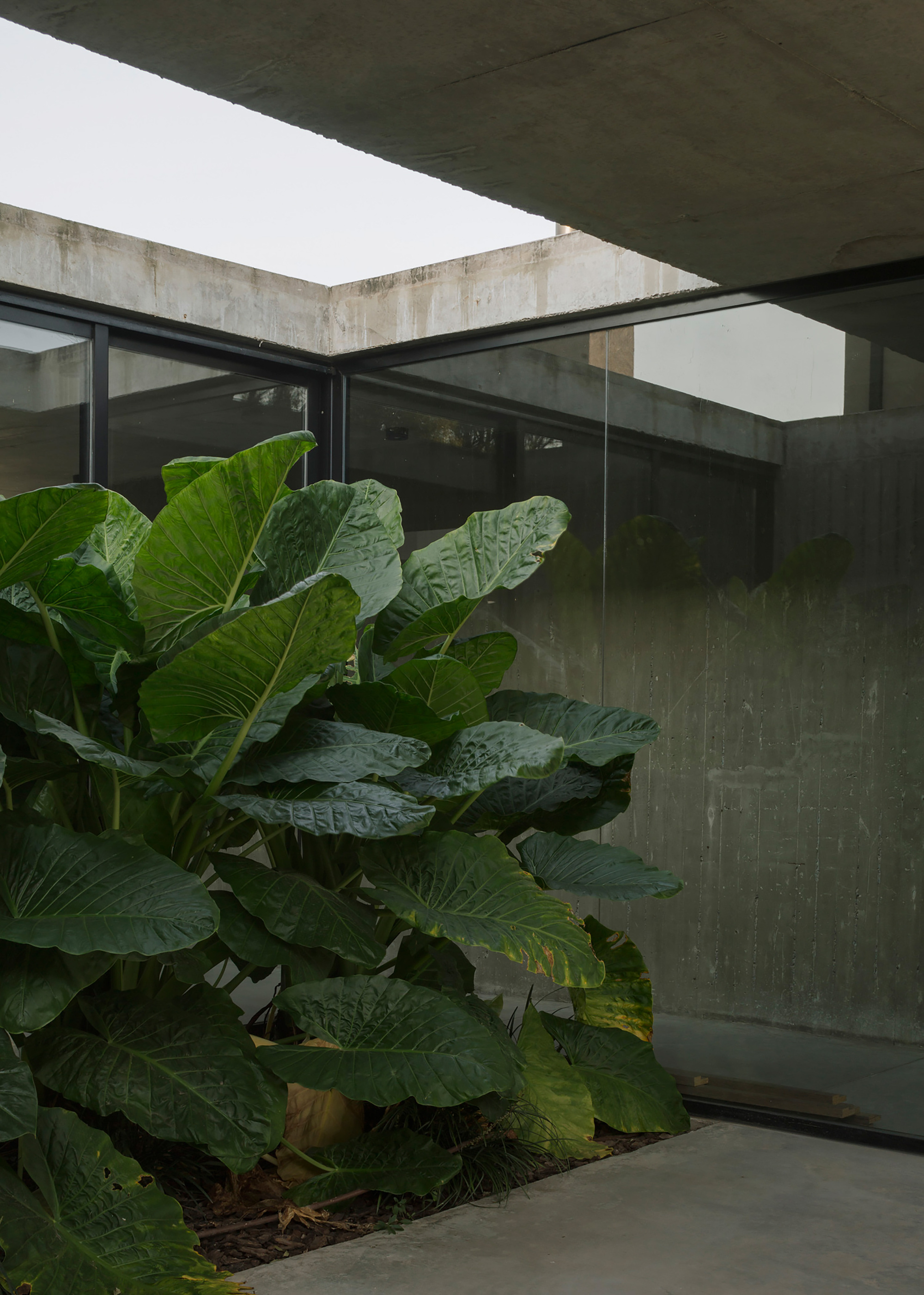 井字棋屋丨阿根廷布宜诺斯艾利斯丨VDV ARQ-14