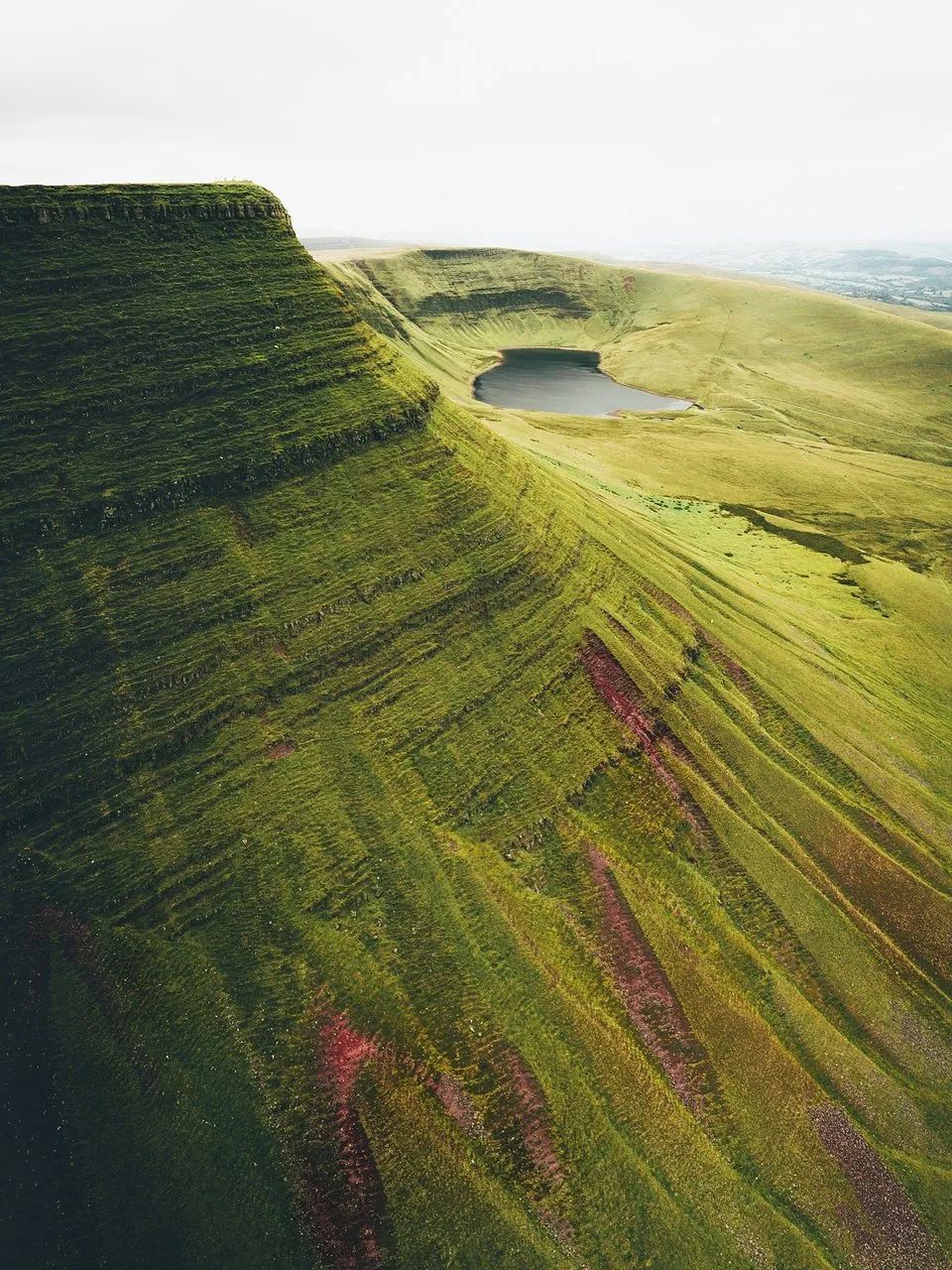 绿色震撼心灵 | 全球绿色摄影大赛获奖作品欣赏-67