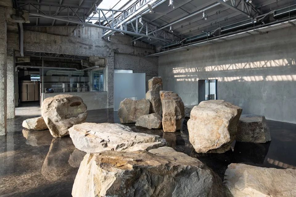 苗栗香格里拉乐园自然教室 | 岩石与银网的生态奇观-34