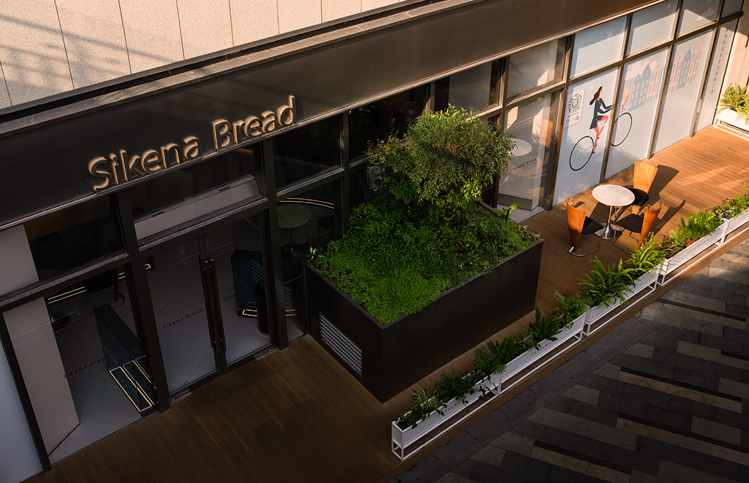 Sikena Bread 斯科纳丨中国无锡丨左山右川建筑西凹设计-3