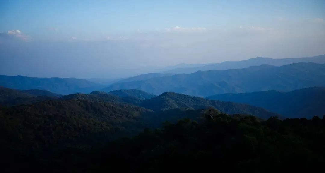 九种菌菇炖出冬日暖心汤丨中国云南-13