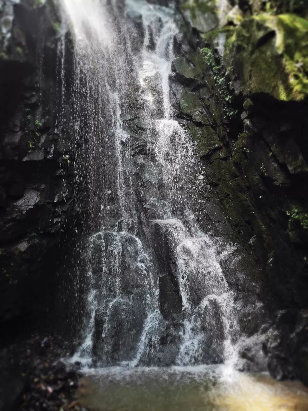 青春之旅 | 安吉竹博园与藏龙百瀑的邂逅-93