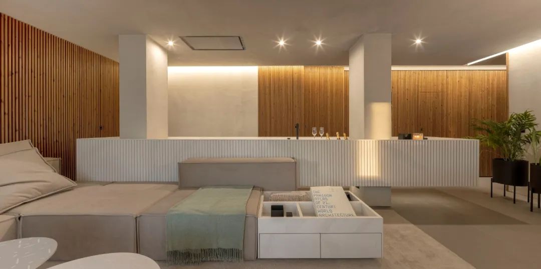 葡萄牙维塞乌公寓修复-2