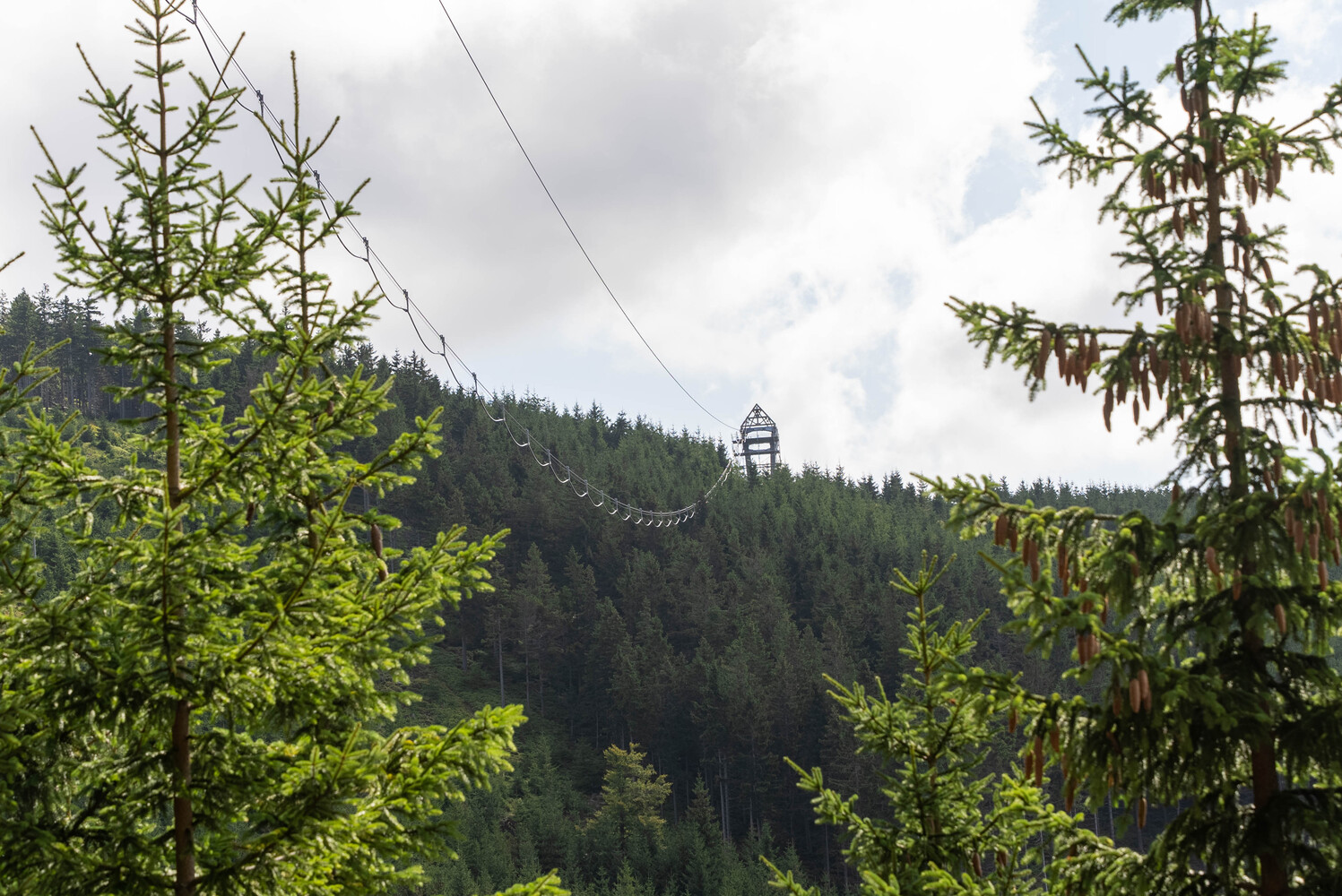 天空之桥 721丨捷克丨TAROS NOVA a.s.-51