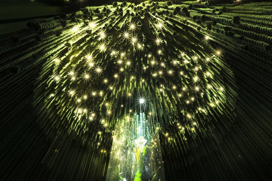 80㎡云南白药益小小展示空间-4