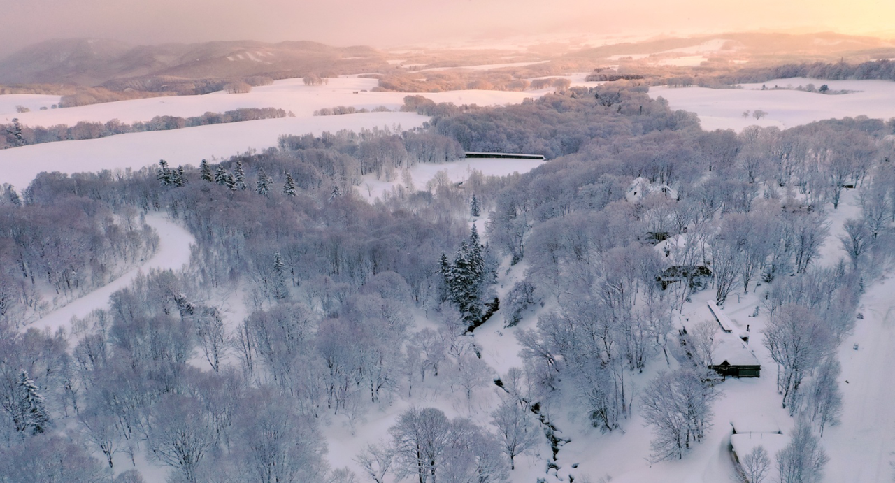 北海道 SHIGUCHI 画廊民宿丨日本丨Shouya Grigg-1