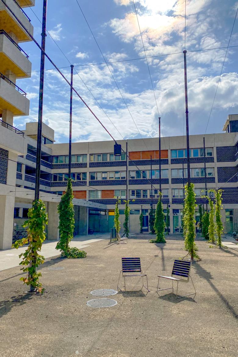 WolkenWerk 景观设计丨瑞士苏黎世丨mavo gmbh-14