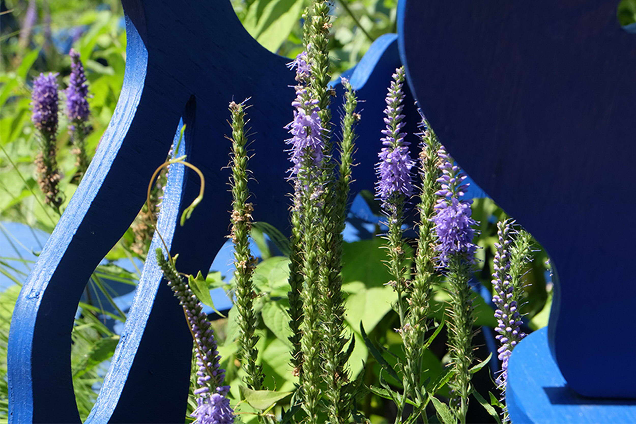 《沙之书》 | 蓝调沙漠,漫步无尽迷宫-15