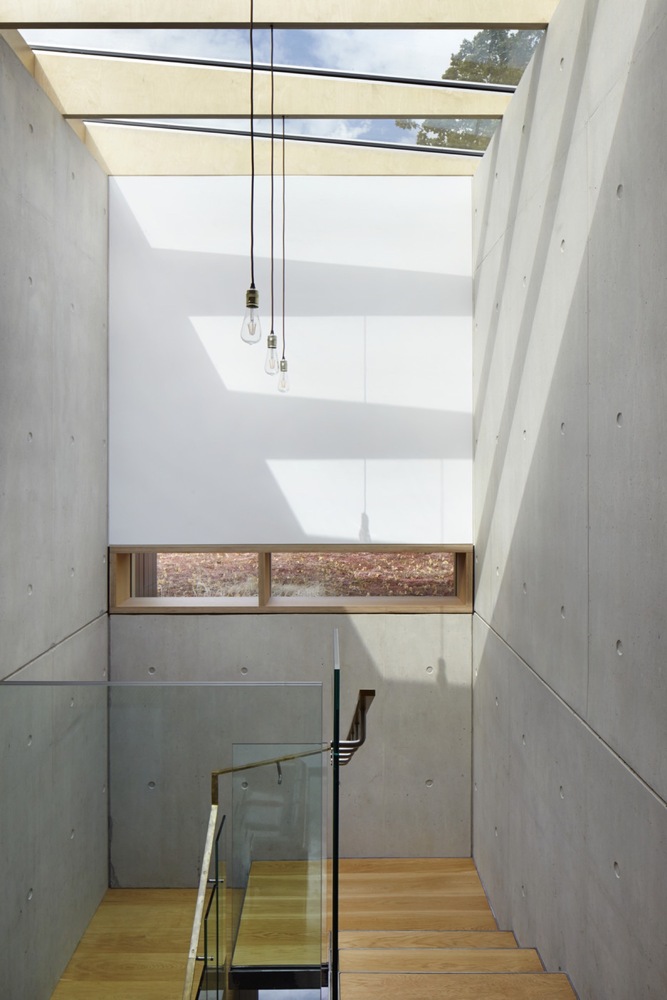 百年梨树下的生态家园-42