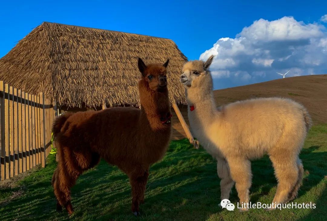 仰天湖大草原丨中国郴州丨广州市五合国际建筑设计有限公司（WHi）-37