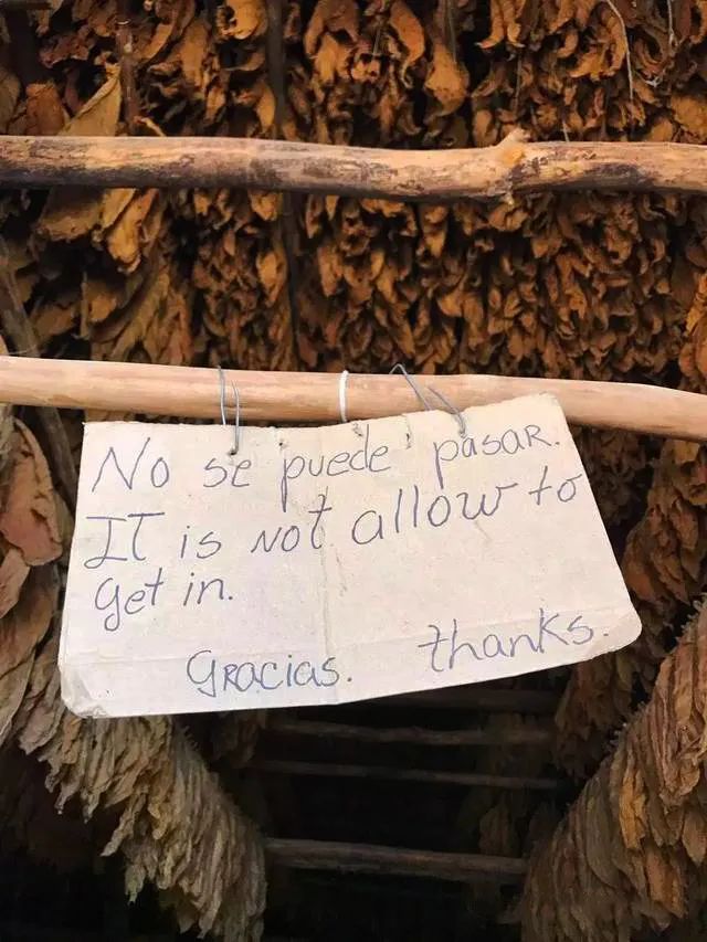 柏洲雪茄吧 私人会所丨中国杭州丨LONGTERM珑腾商业空间设计-9