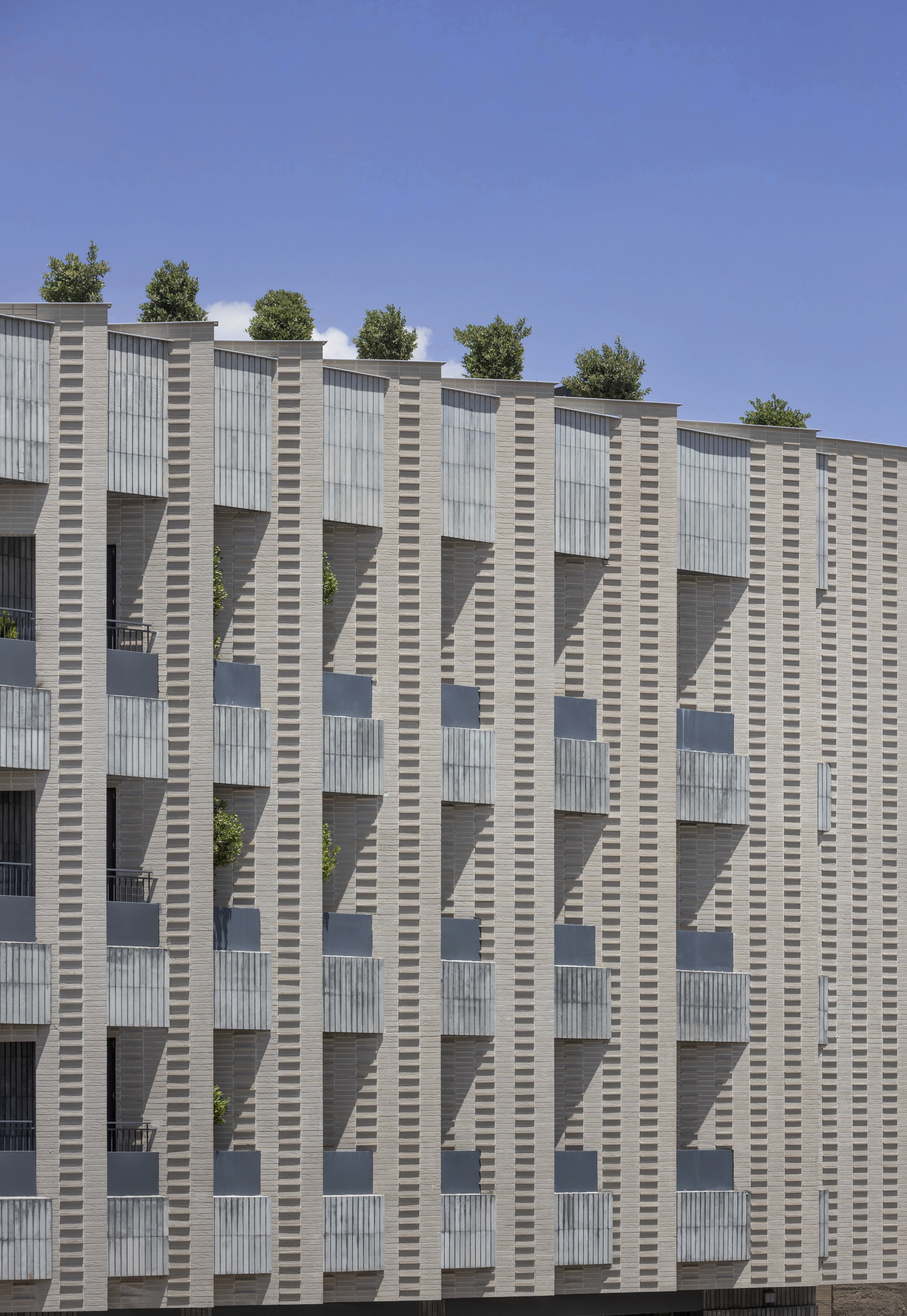 侧身公寓丨伊朗丨Ashari Architects-36