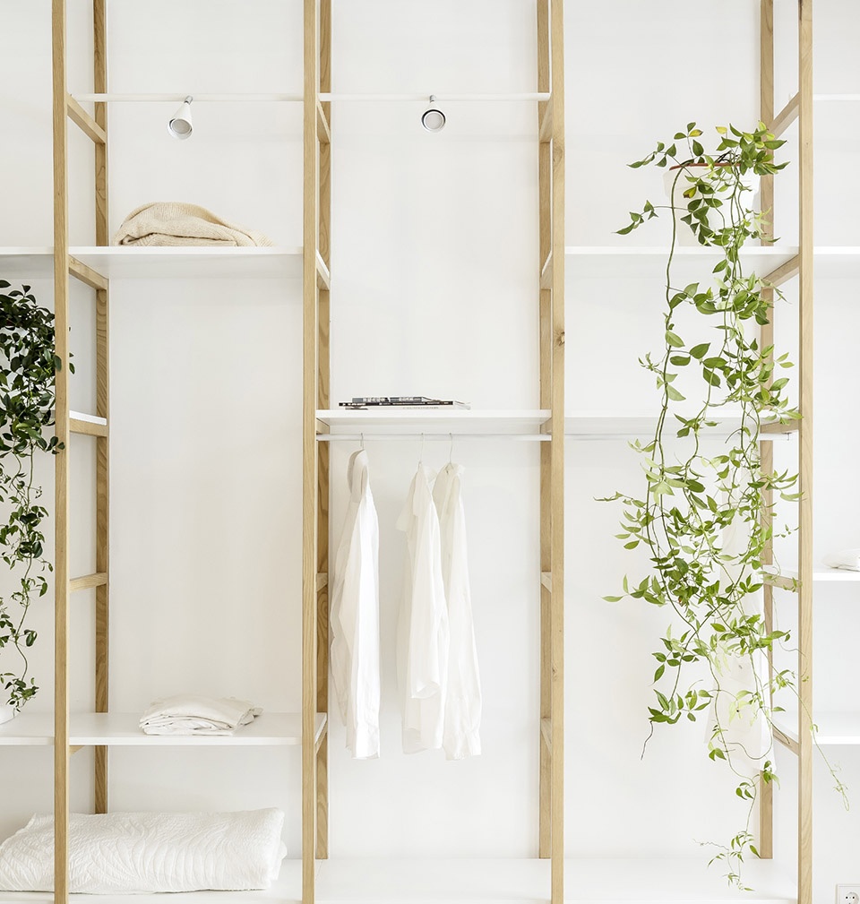 巴塞罗那十九世纪阁楼住宅,空间重塑与自然融合-42