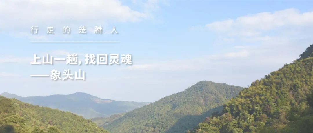 花城广州,四季繁花似锦的生态城市设计丨中国广州丨茏腾园林-48