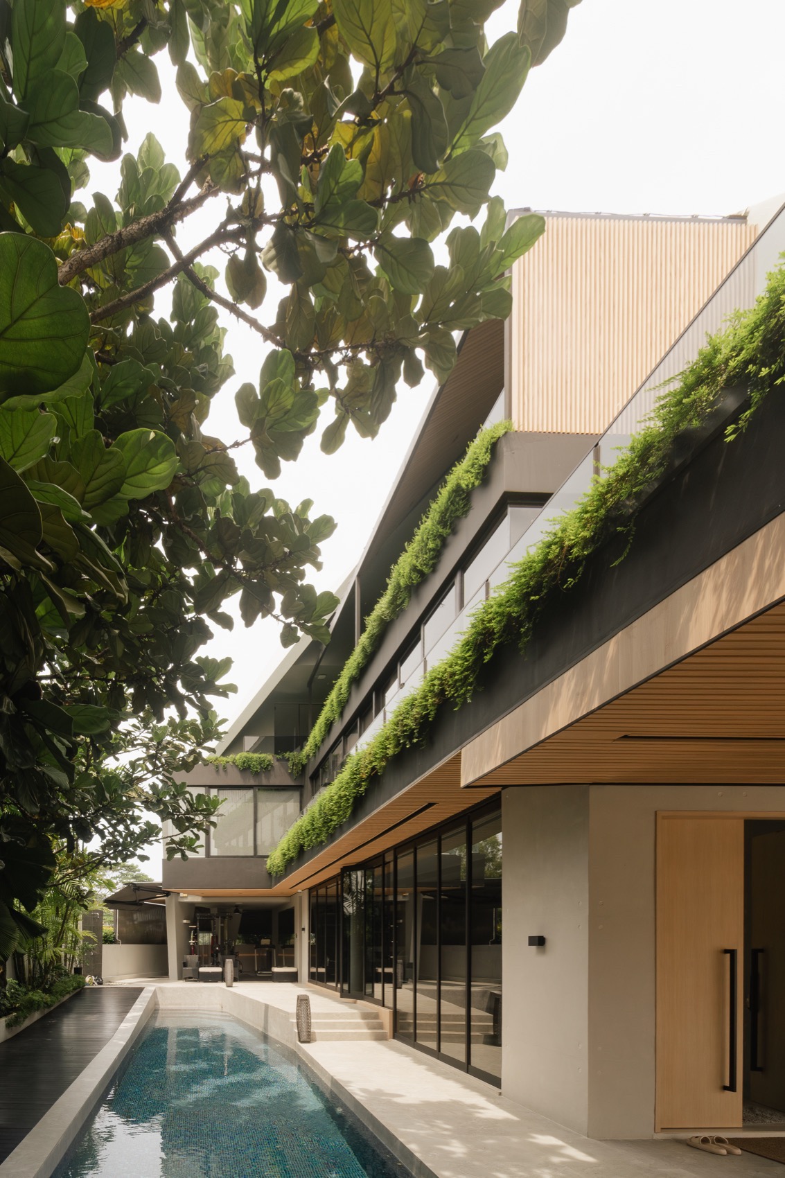 花园别墅丨新加坡丨Create Architecture-4