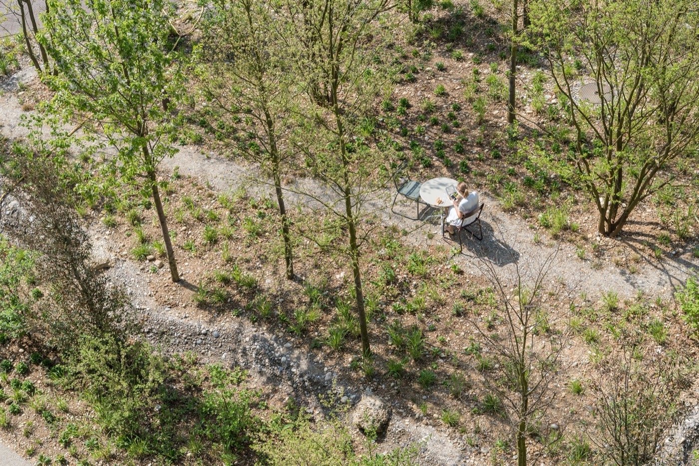 瑞士中央公园罗氏校园丨Bryum-10