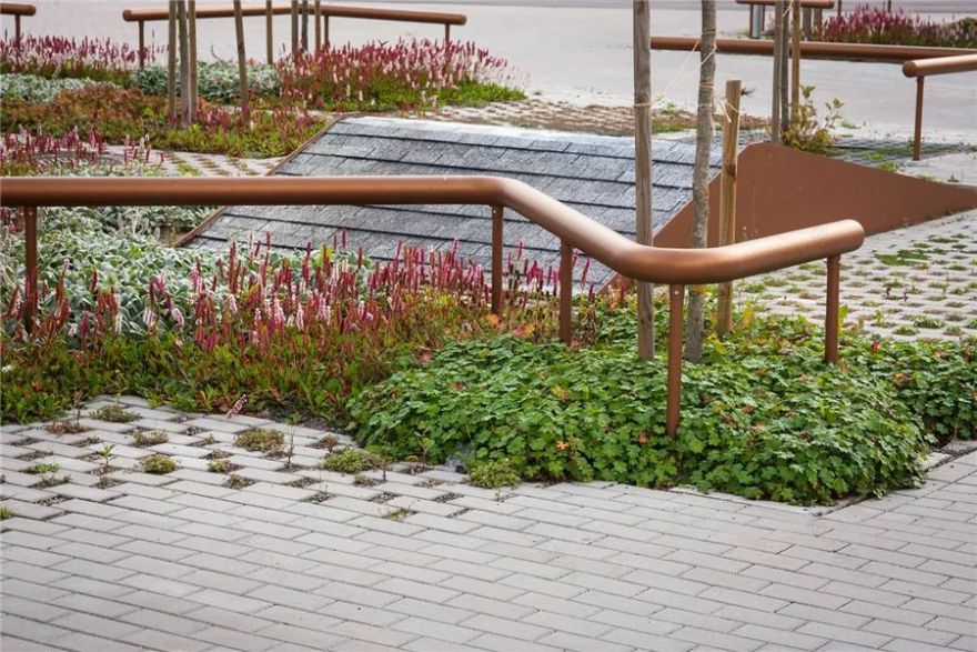 边界植物在景观设计中的妙用-21